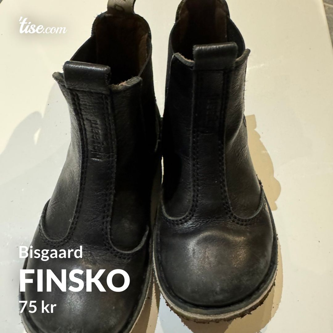 Finsko