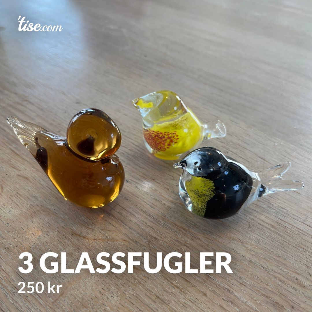 3 glassfugler