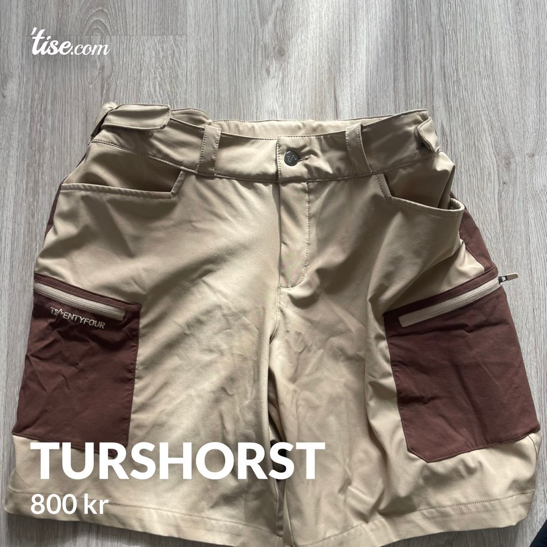 Turshorst