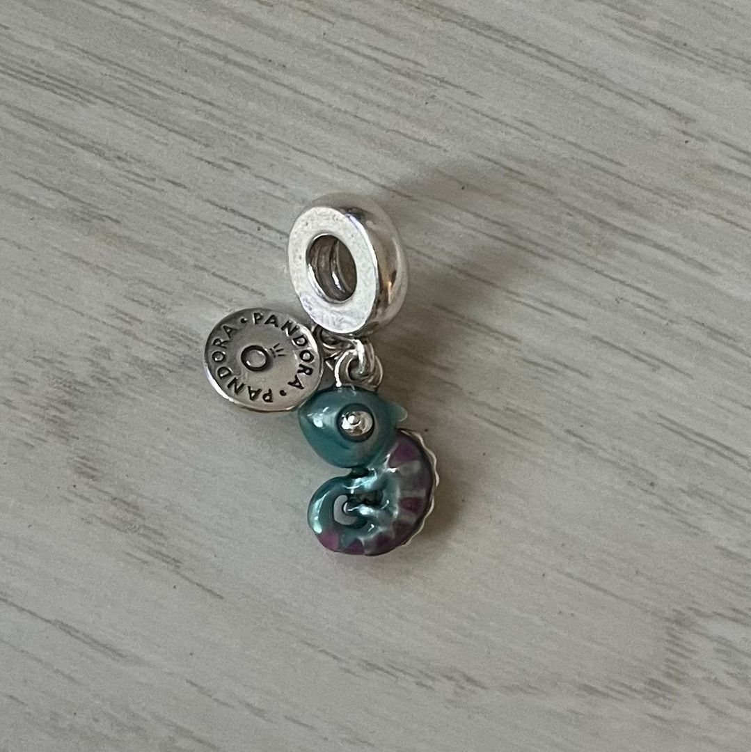 pandora charm