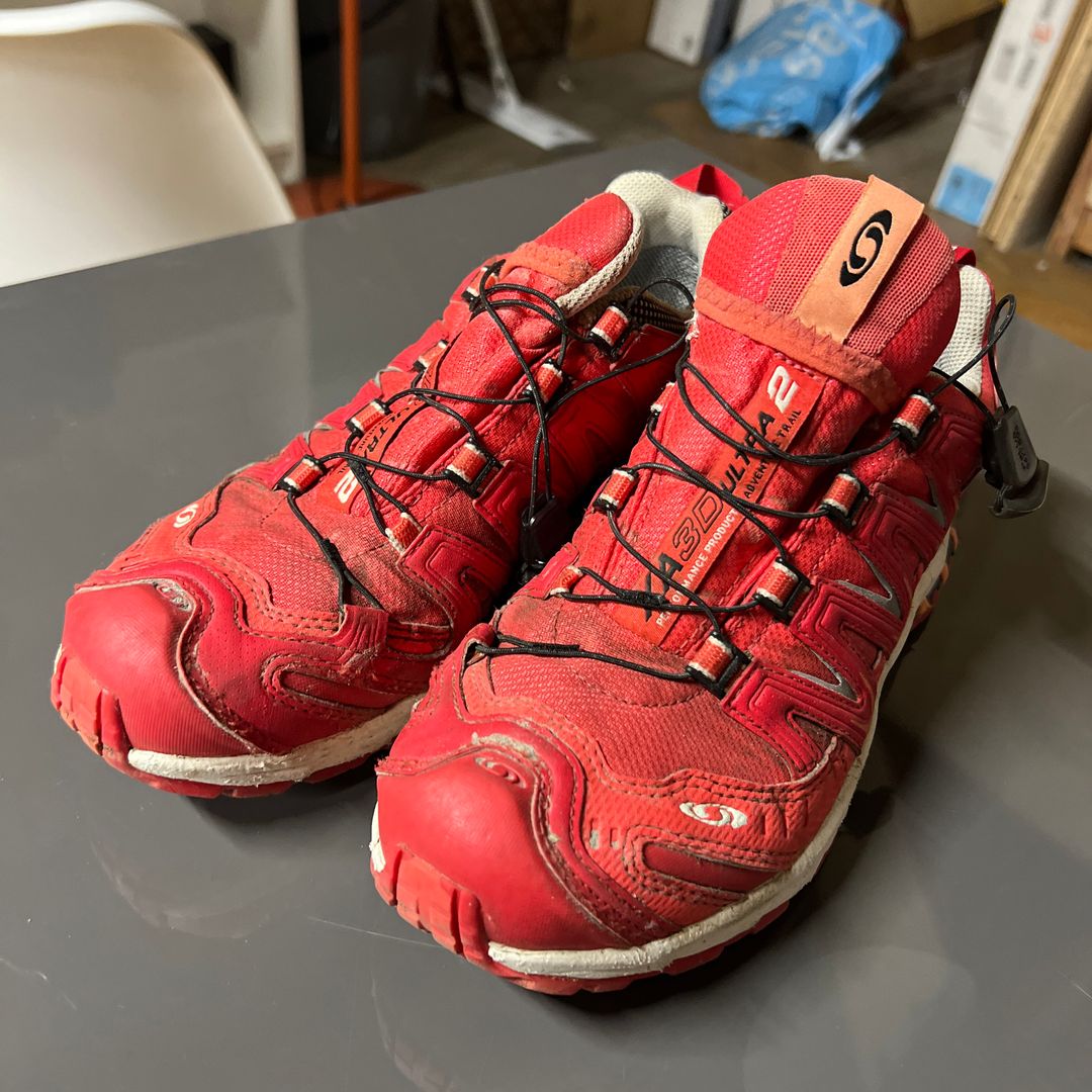 Salomon XA 3D