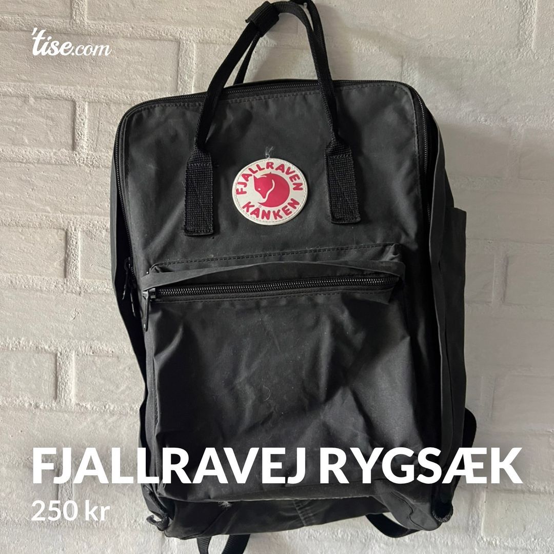 Fjallravej rygsæk