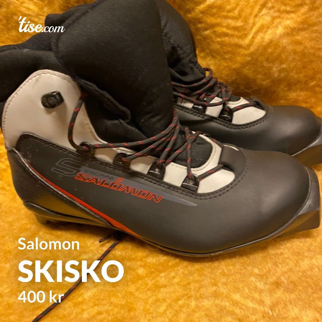 Skisko