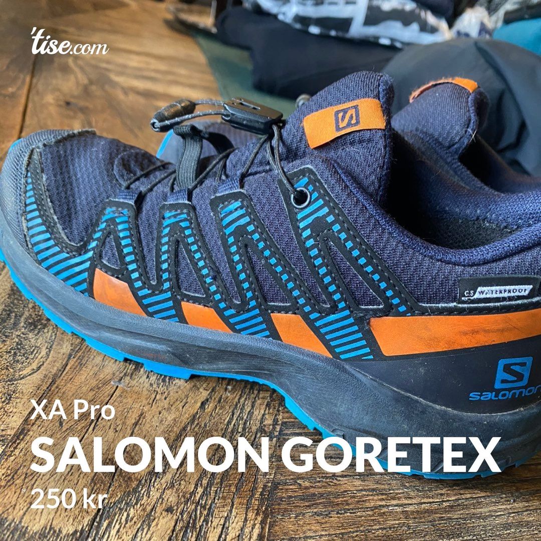 Salomon goretex