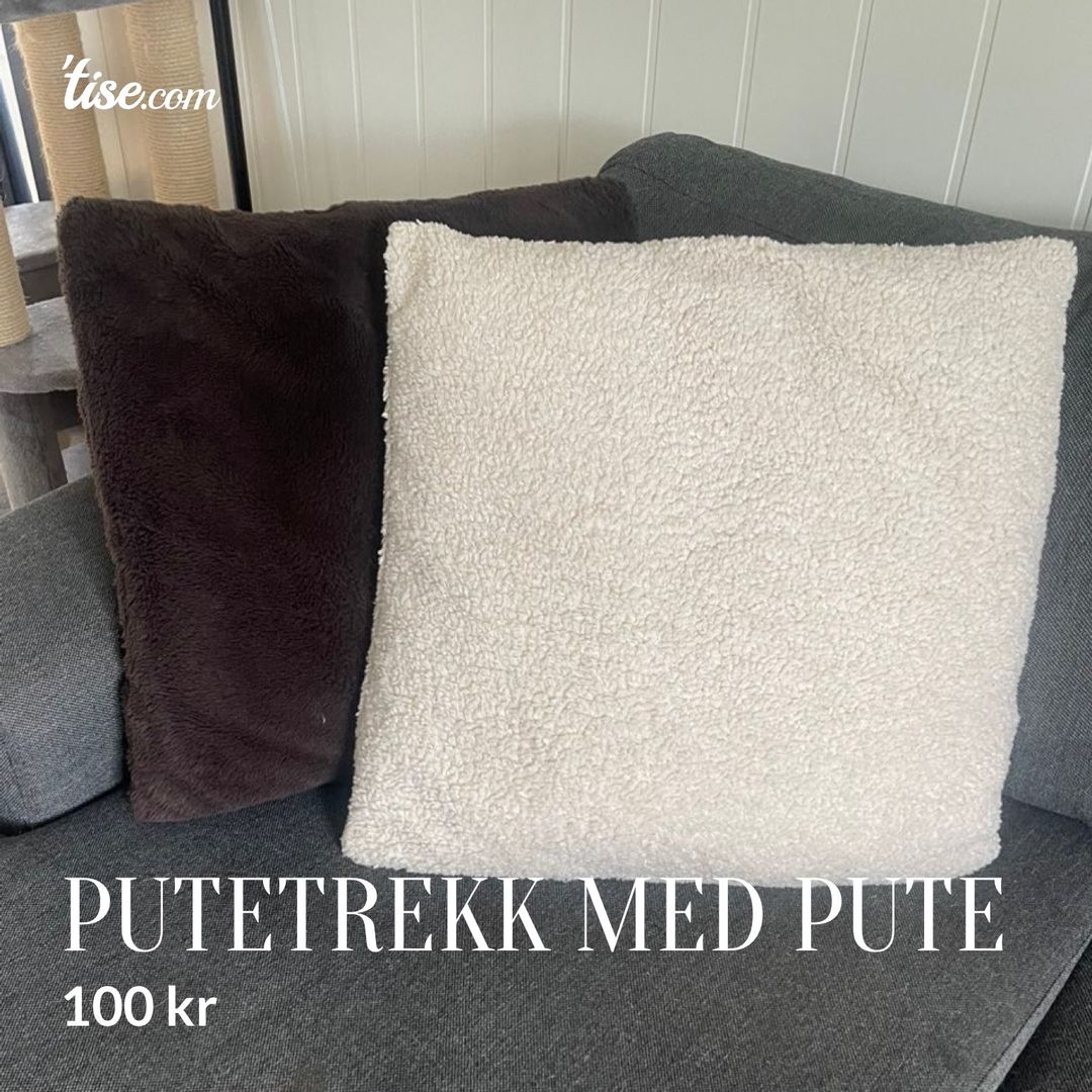 Putetrekk med pute