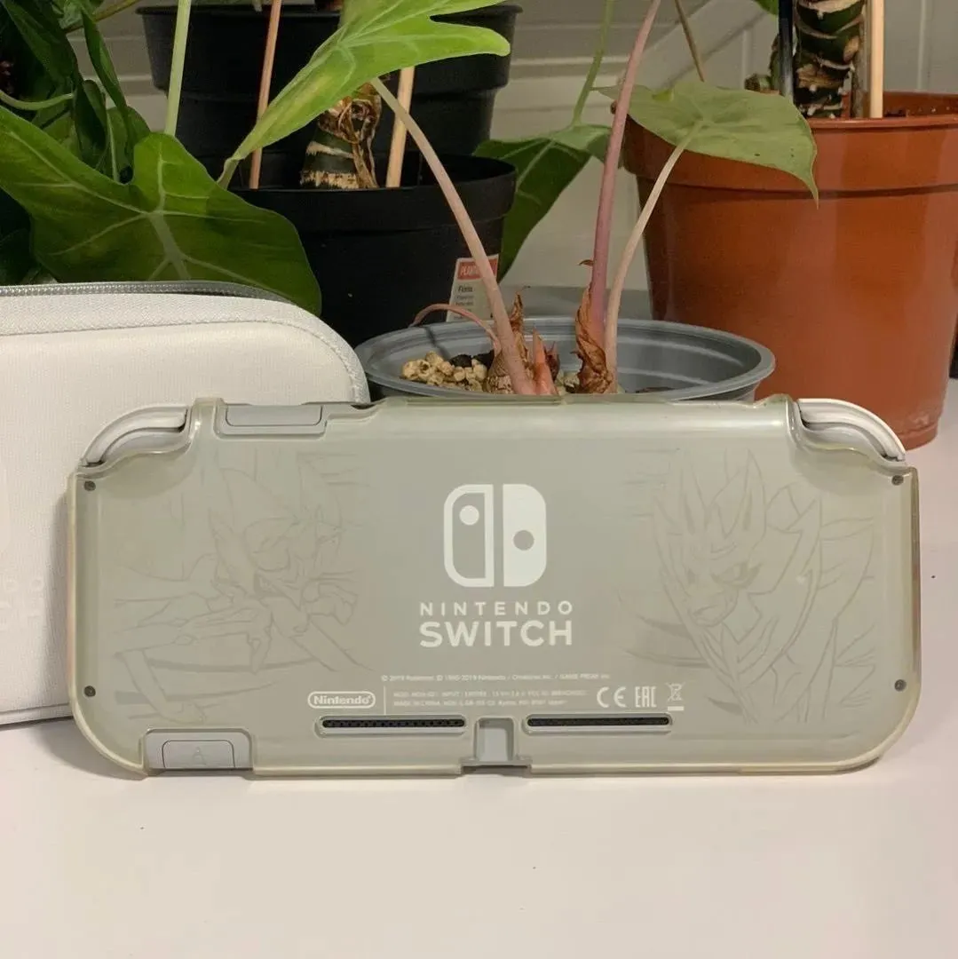 Nintendo switch lite