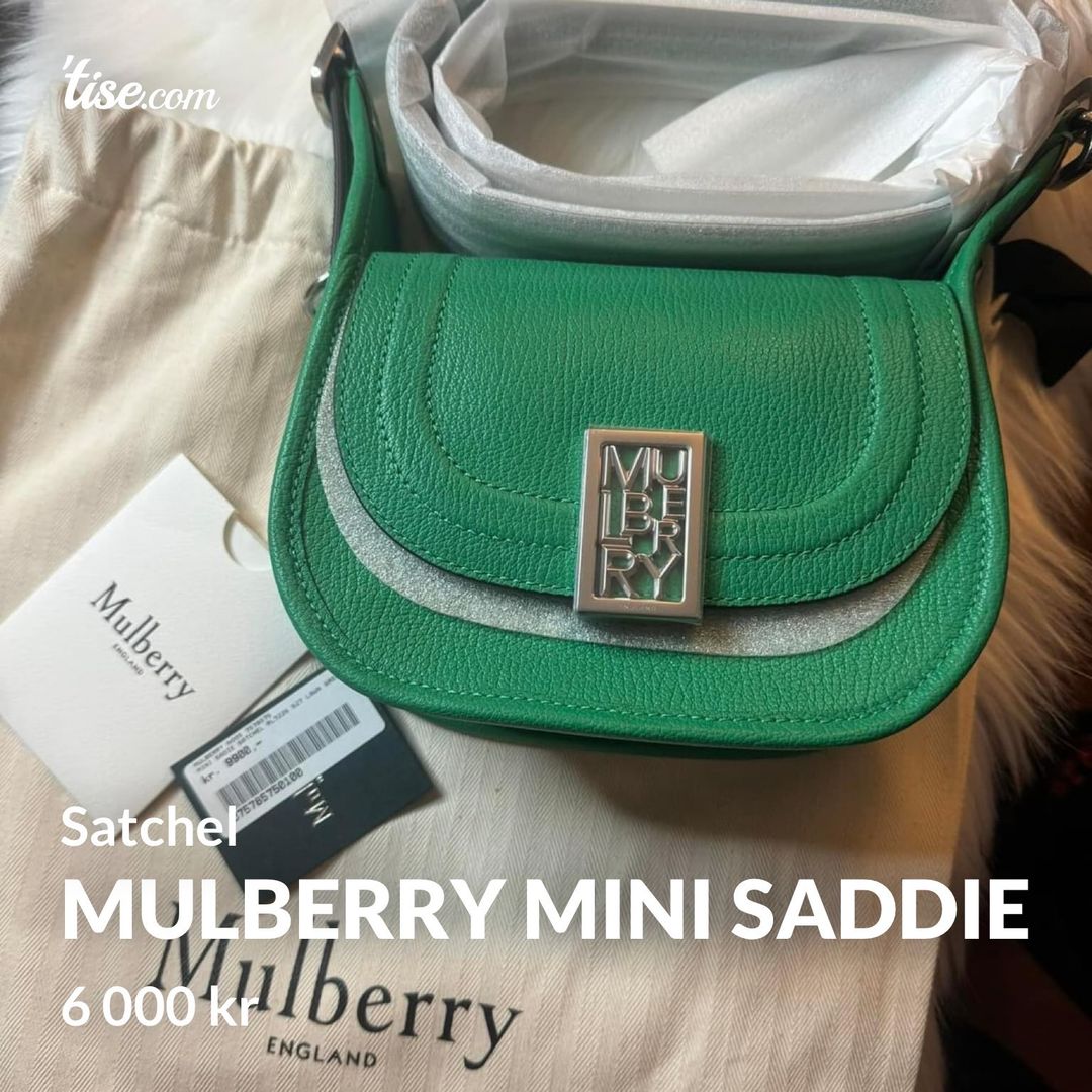 Mulberry Mini Saddie