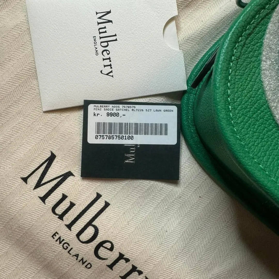 Mulberry Mini Saddie