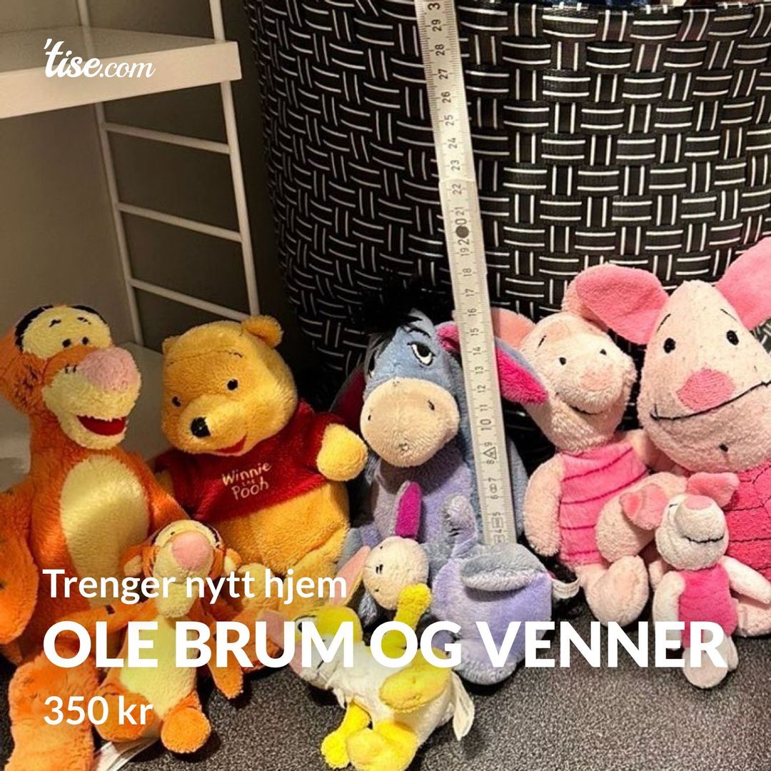 Ole Brum og venner