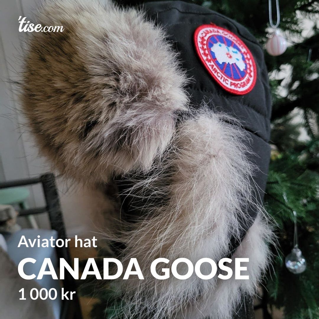 Canada Goose