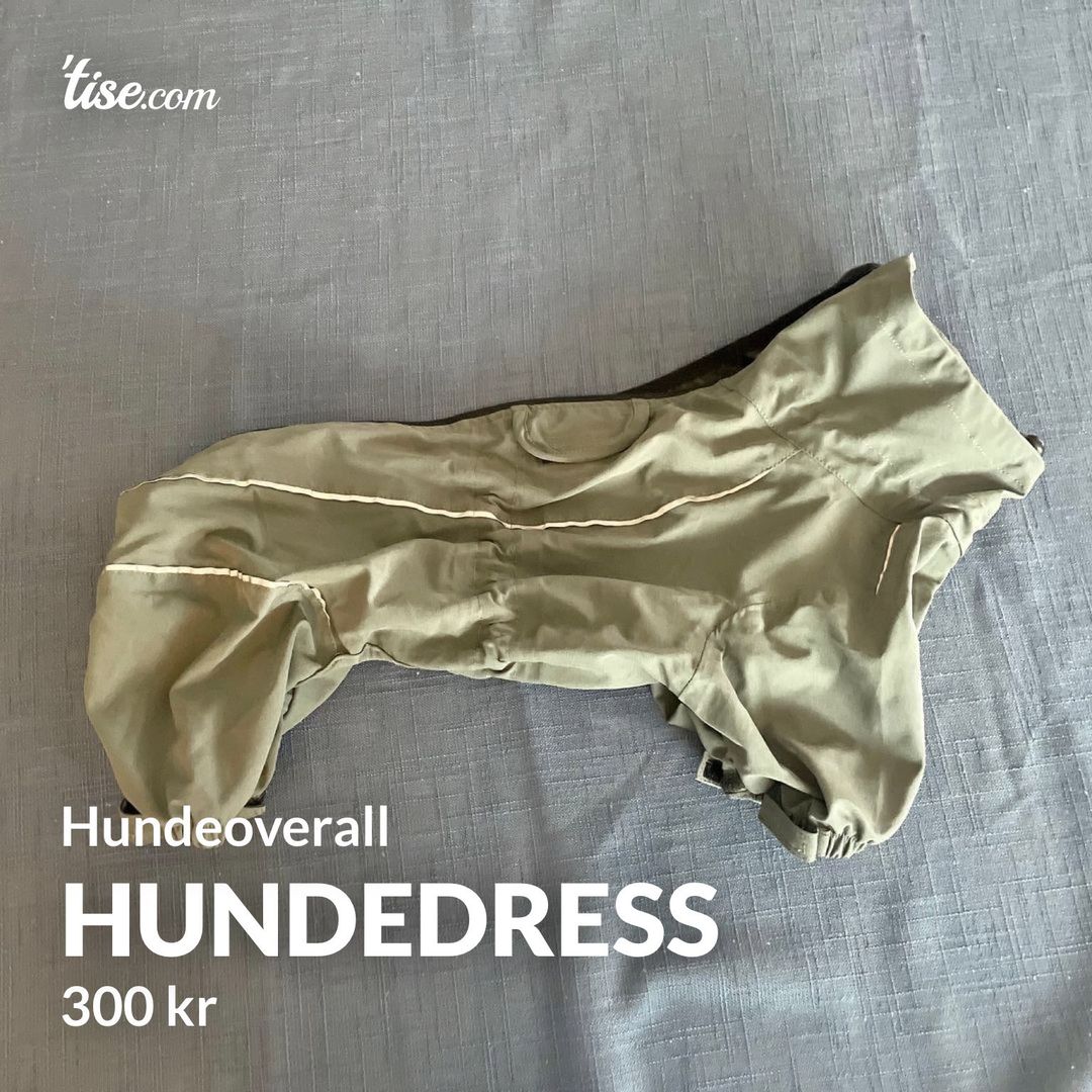 Hundedress