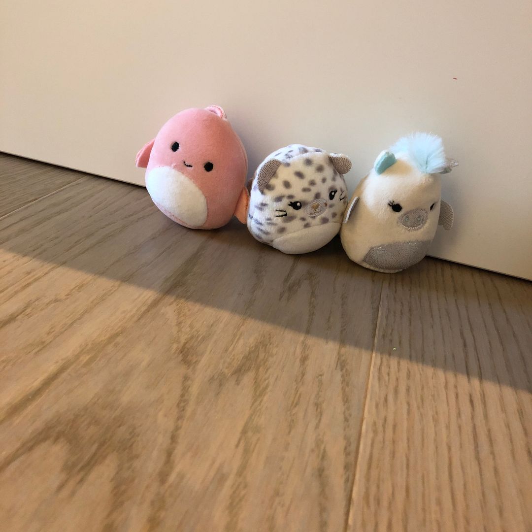 Squishmallow Sett