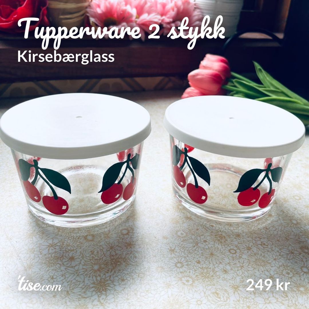 Tupperware 2 stykk