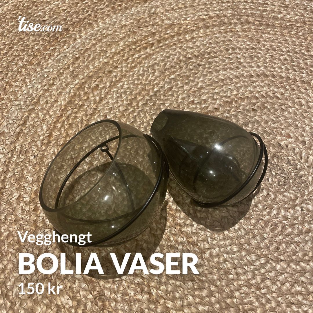 Bolia vaser