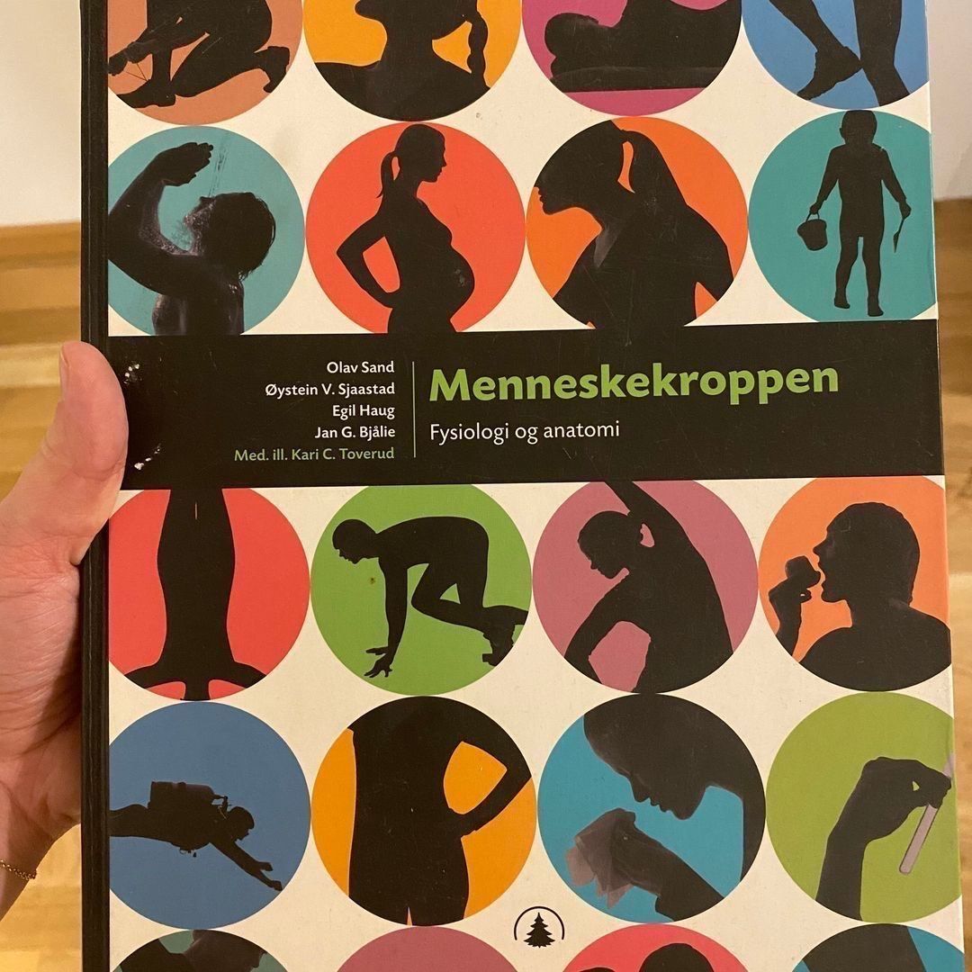 Menneskekroppen