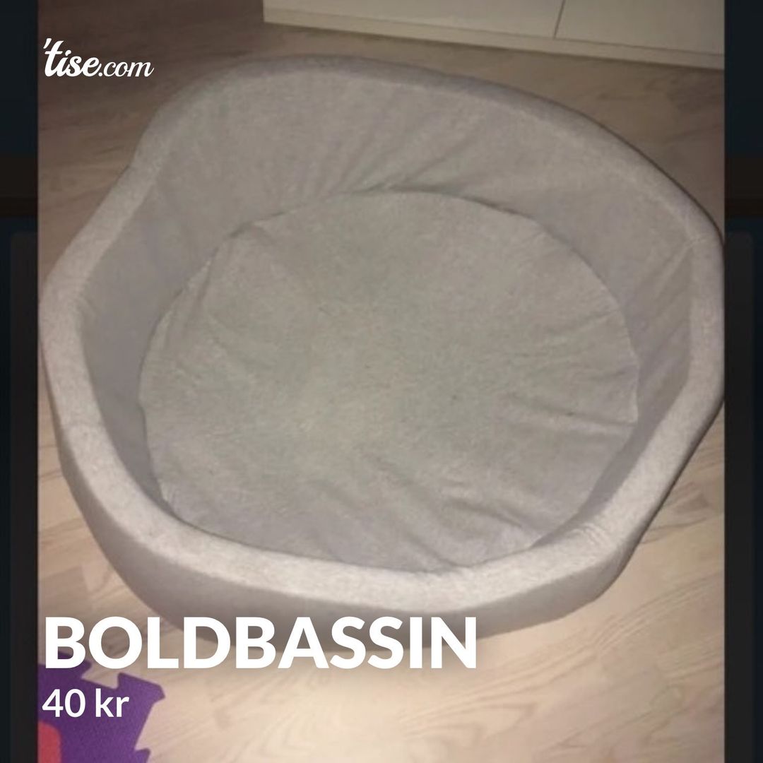 Boldbassin