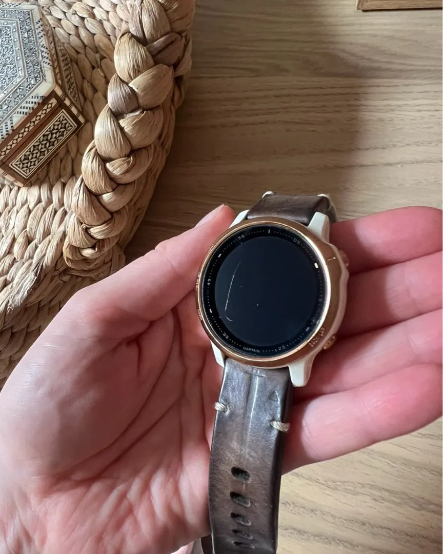 Garmin fenix 6S