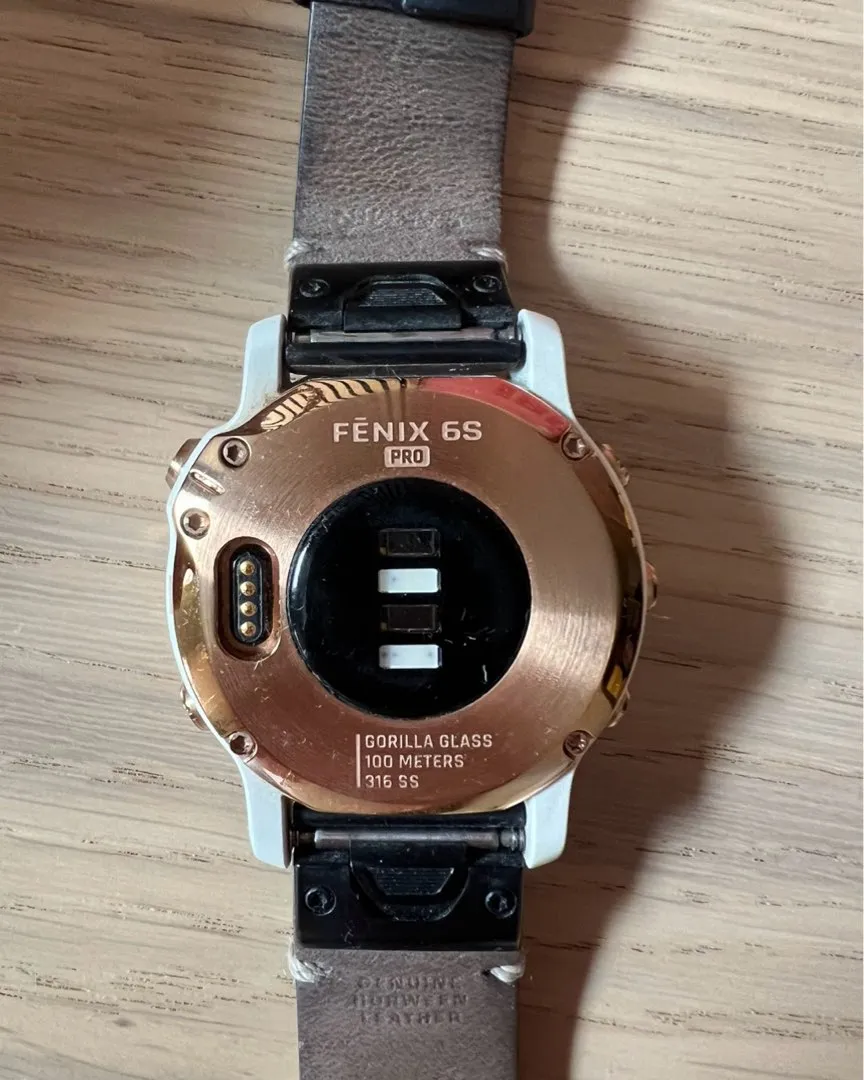 Garmin fenix 6S