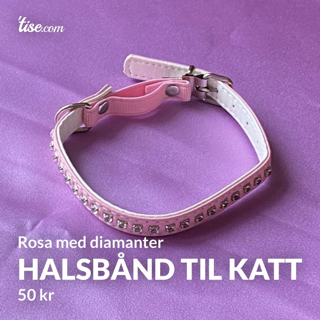 Halsbånd til katt