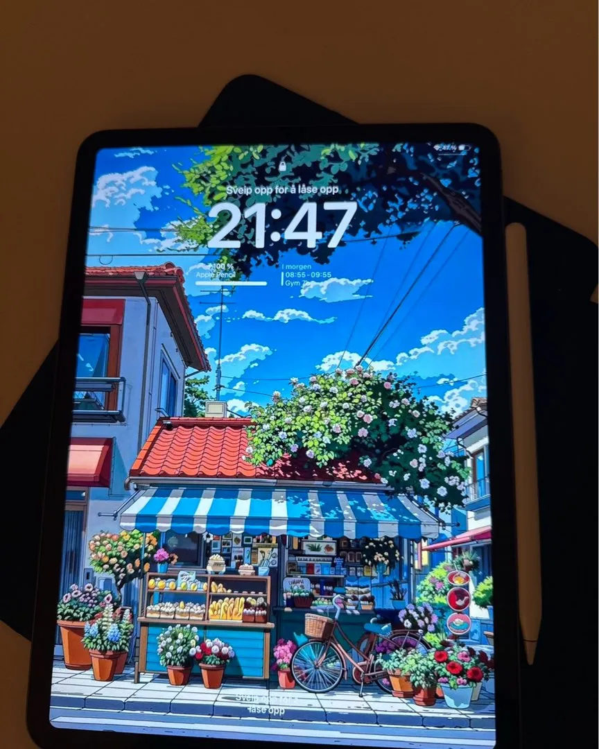 Ipad pro (2018)