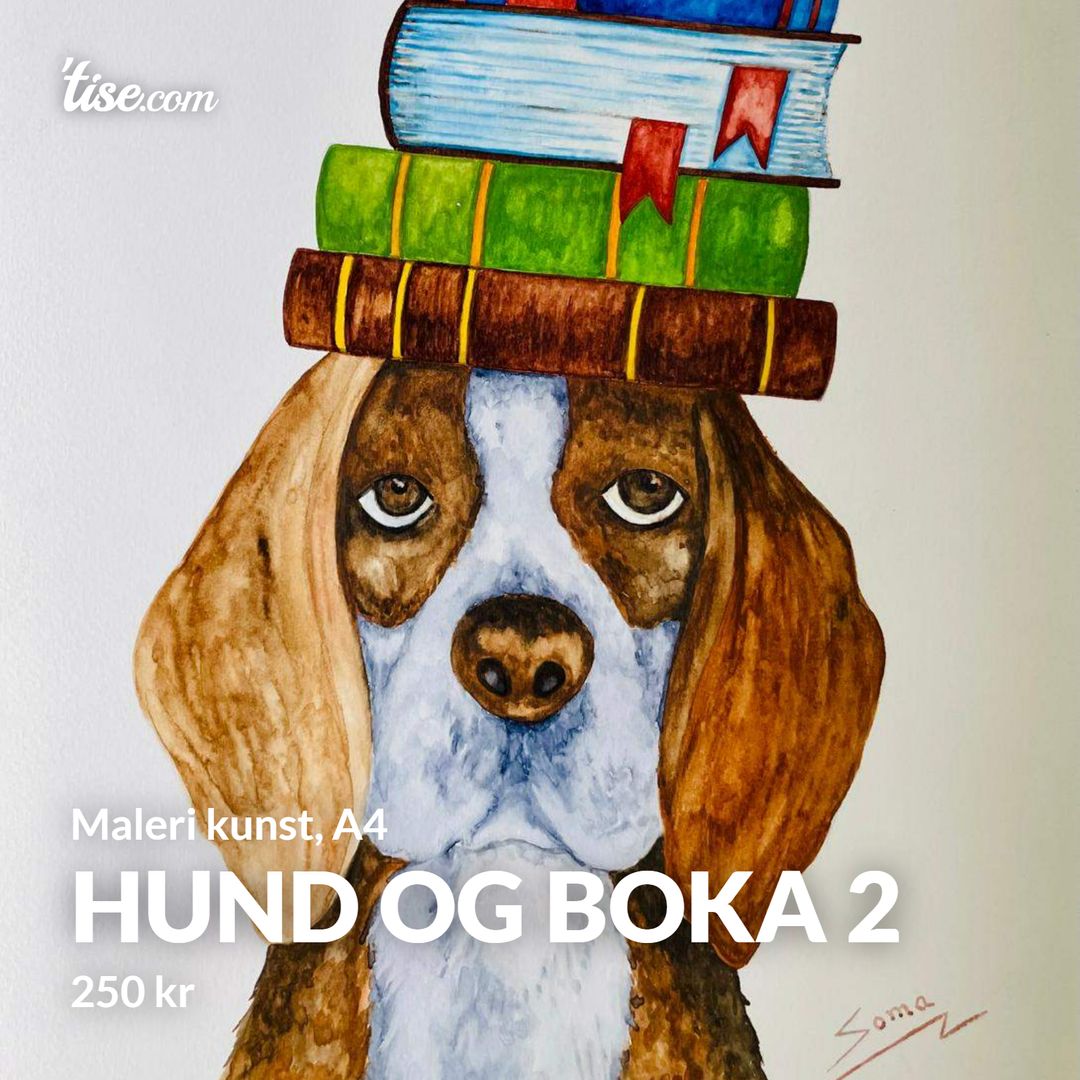 Hund og boka 2