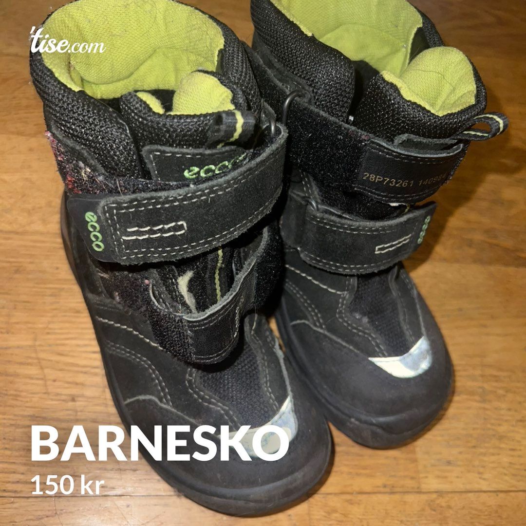 Barnesko