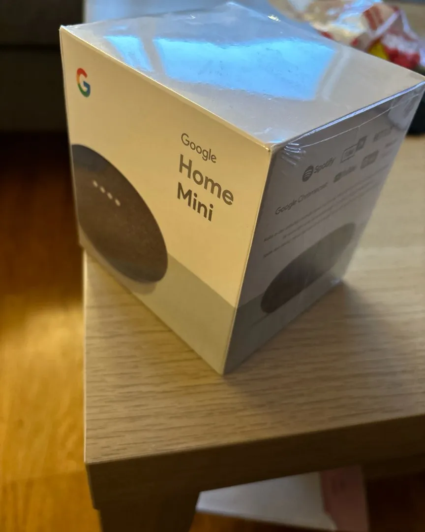 Google home mini