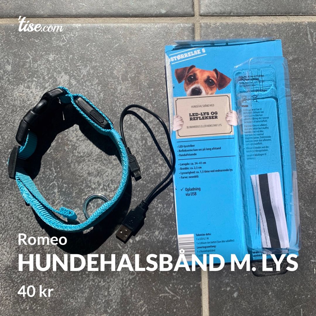 Hundehalsbånd m lys