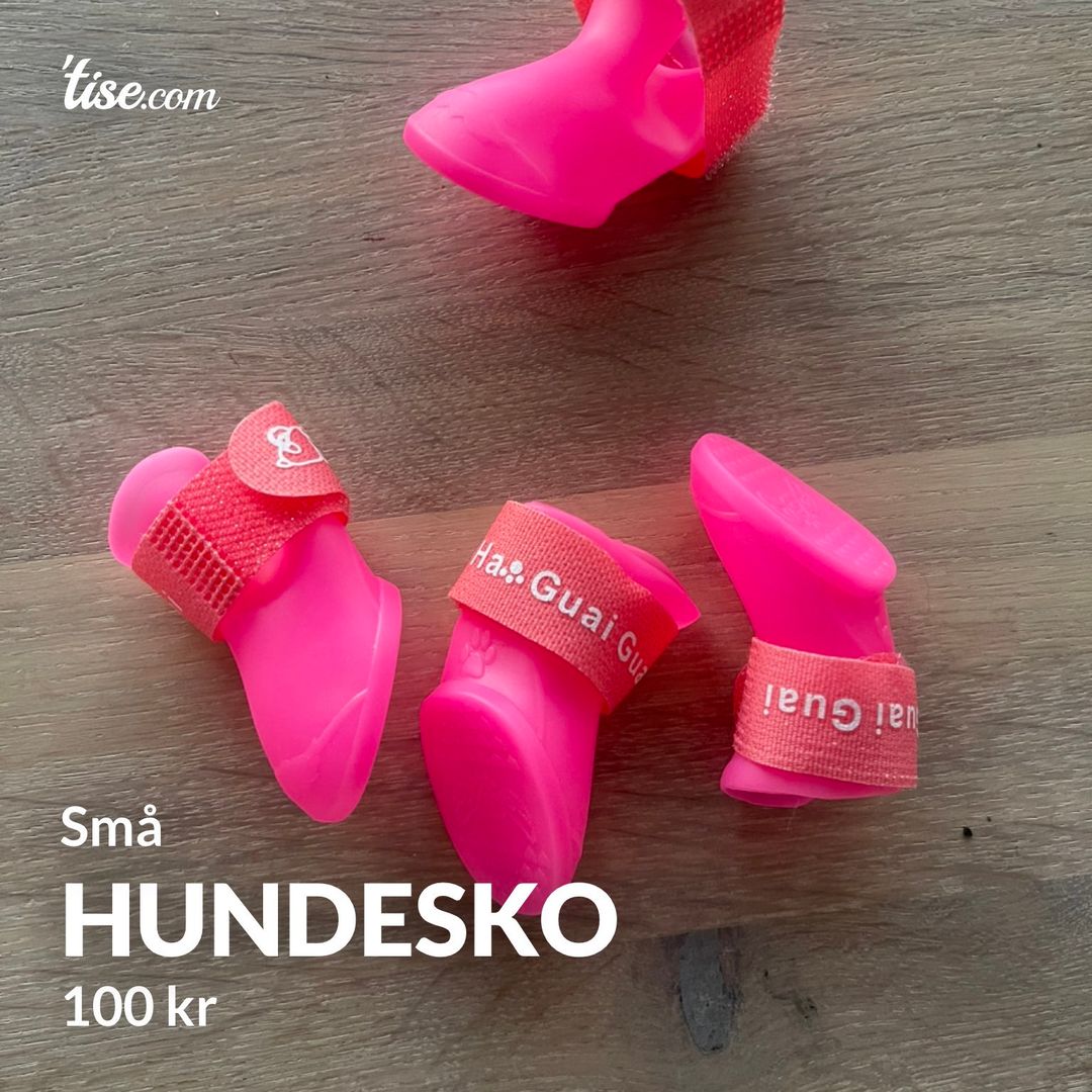 Hundesko