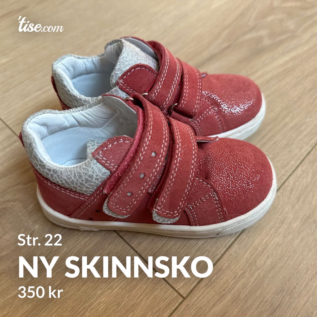 Ny skinnsko