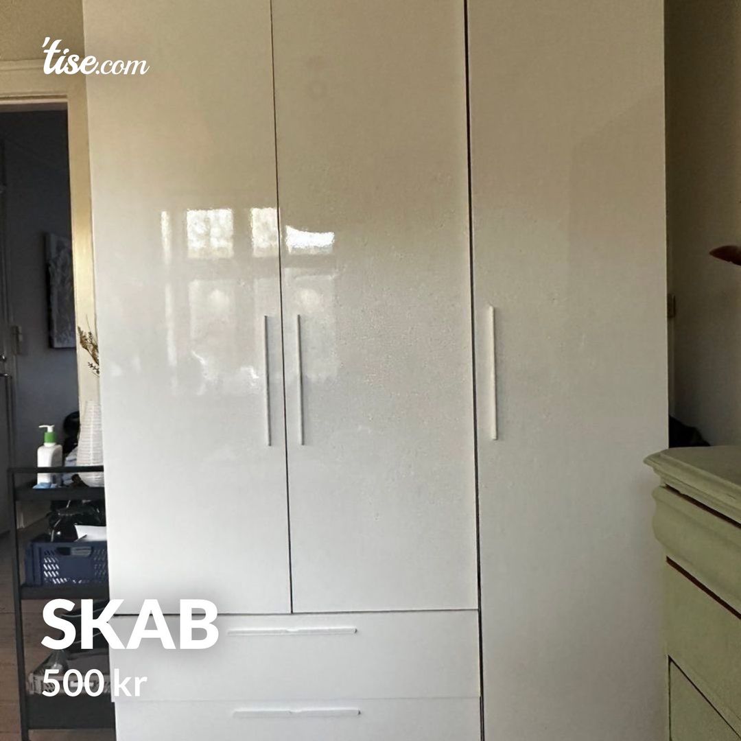 Skab