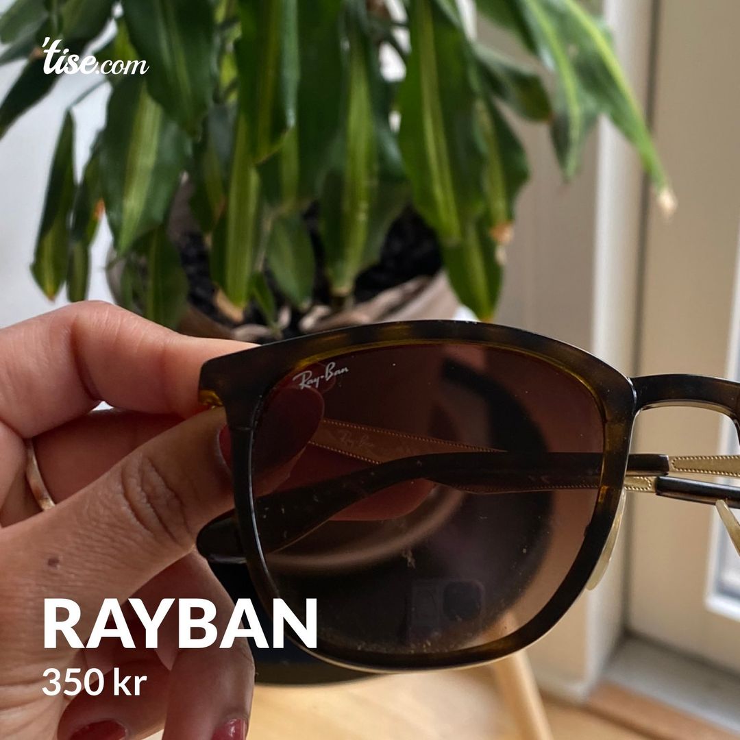 Rayban