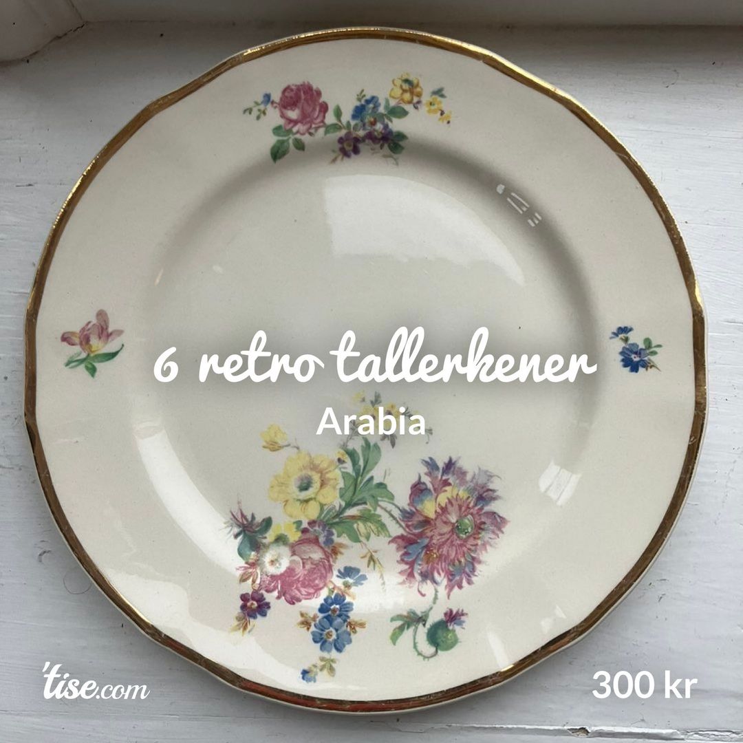 6 retro tallerkener