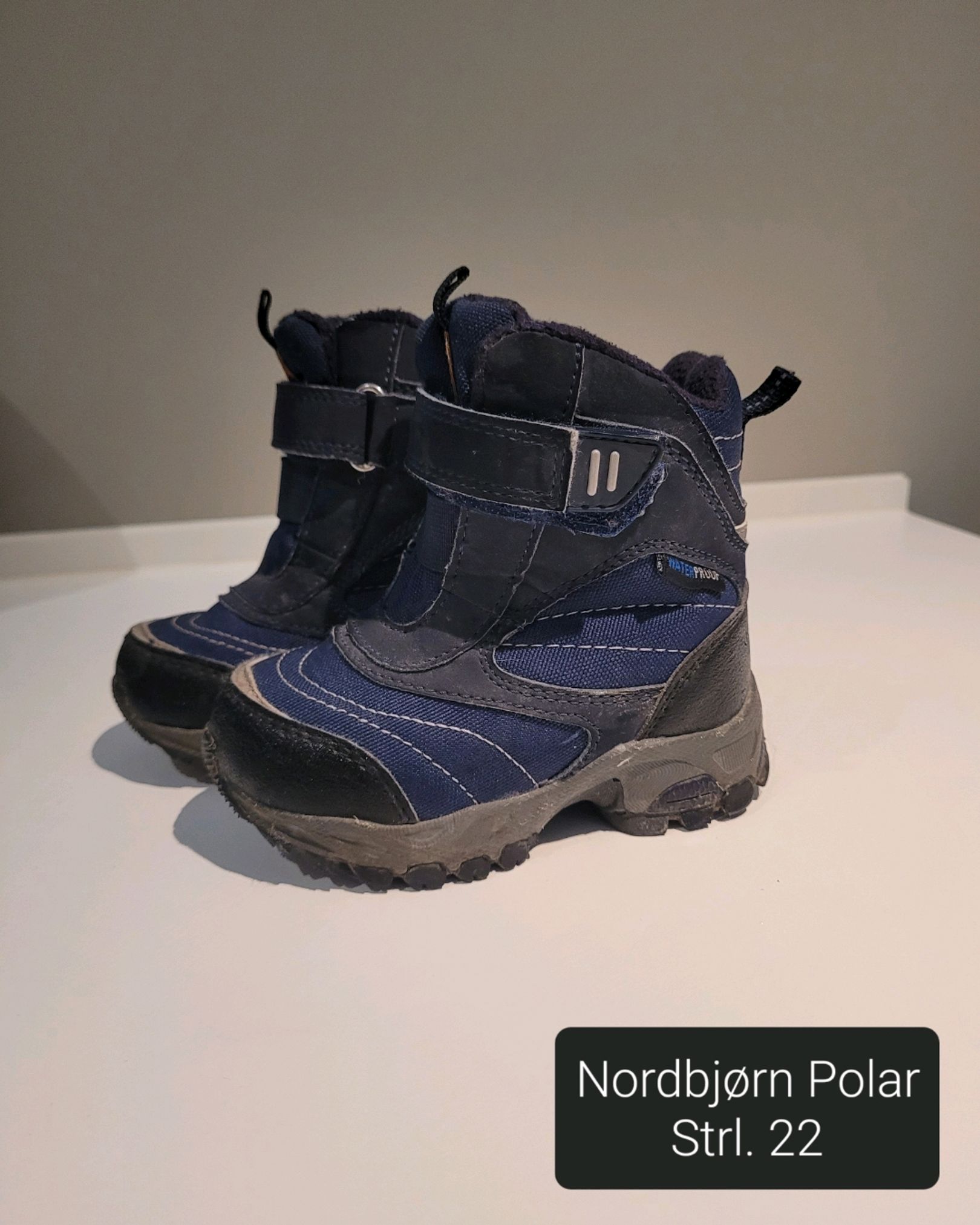 Nordbjørn Polar