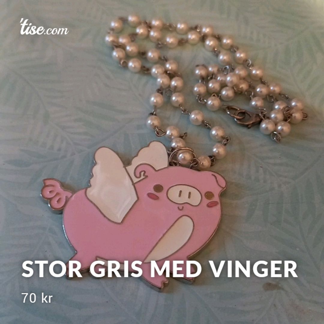 Stor Gris Med Vinger