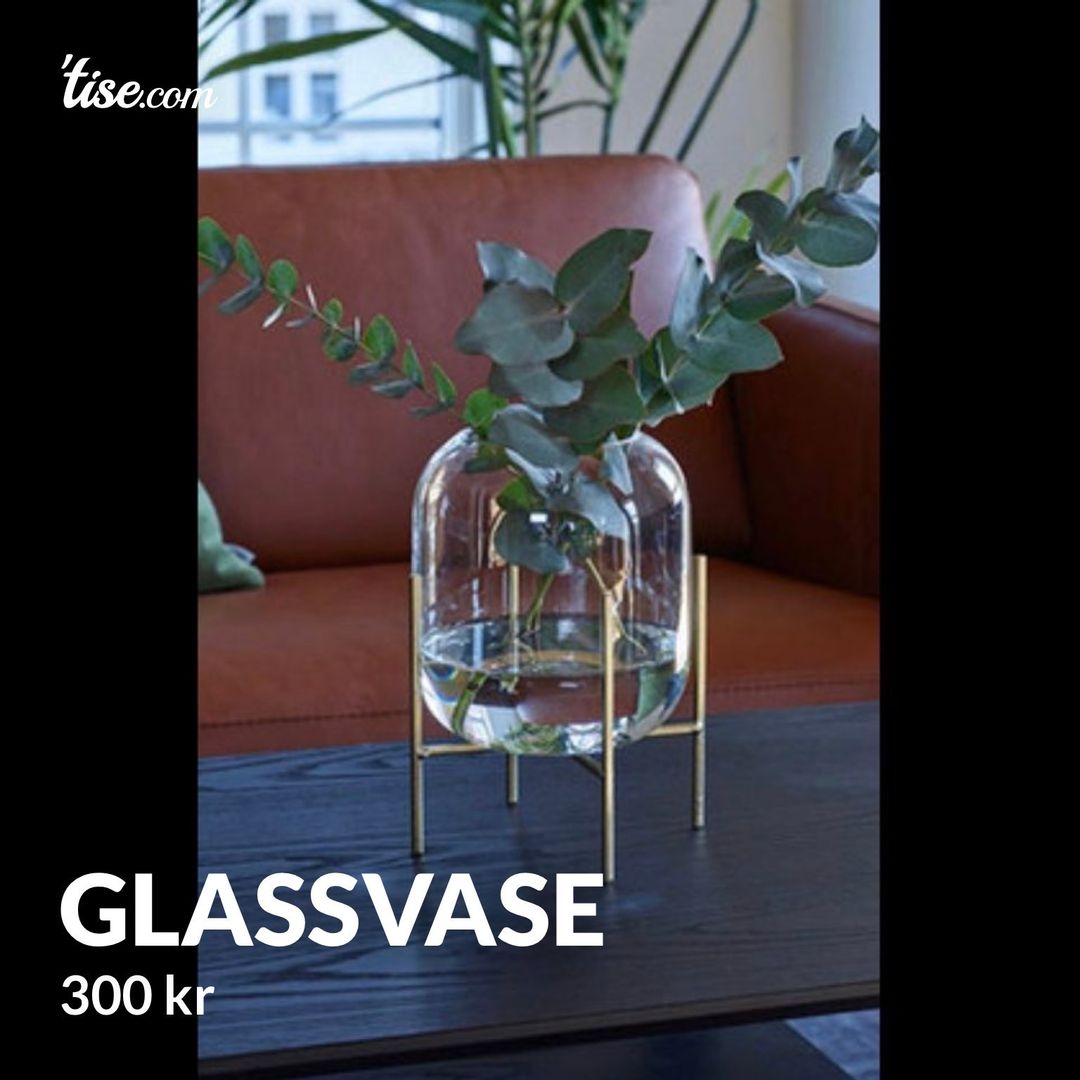 Glassvase