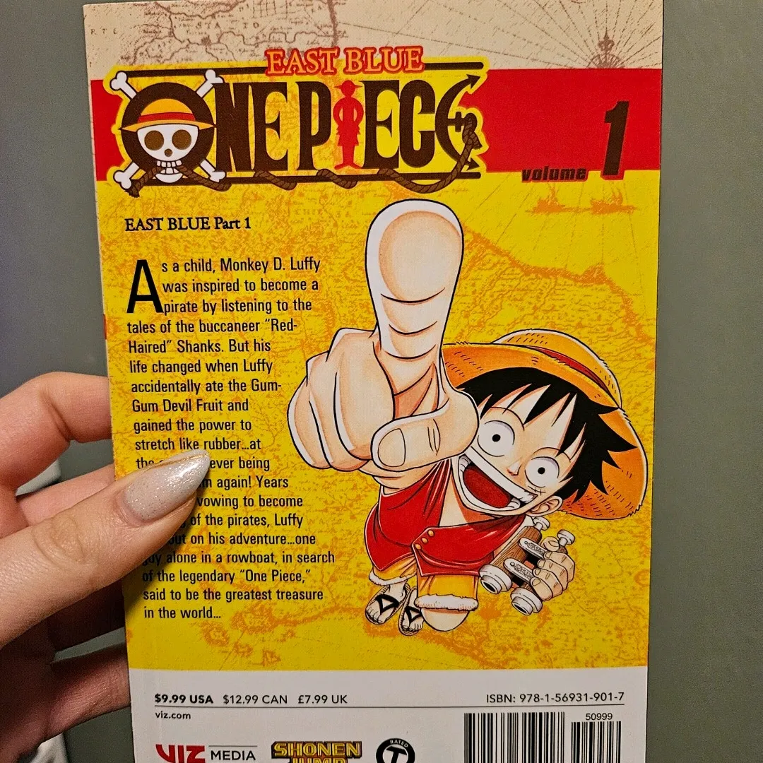 One Piece Vol 1