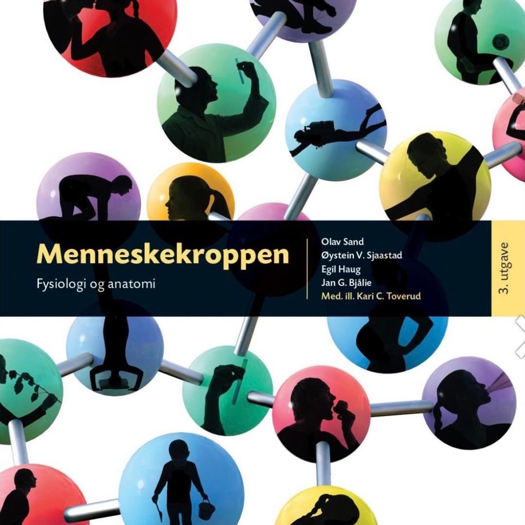 Menneskekroppen