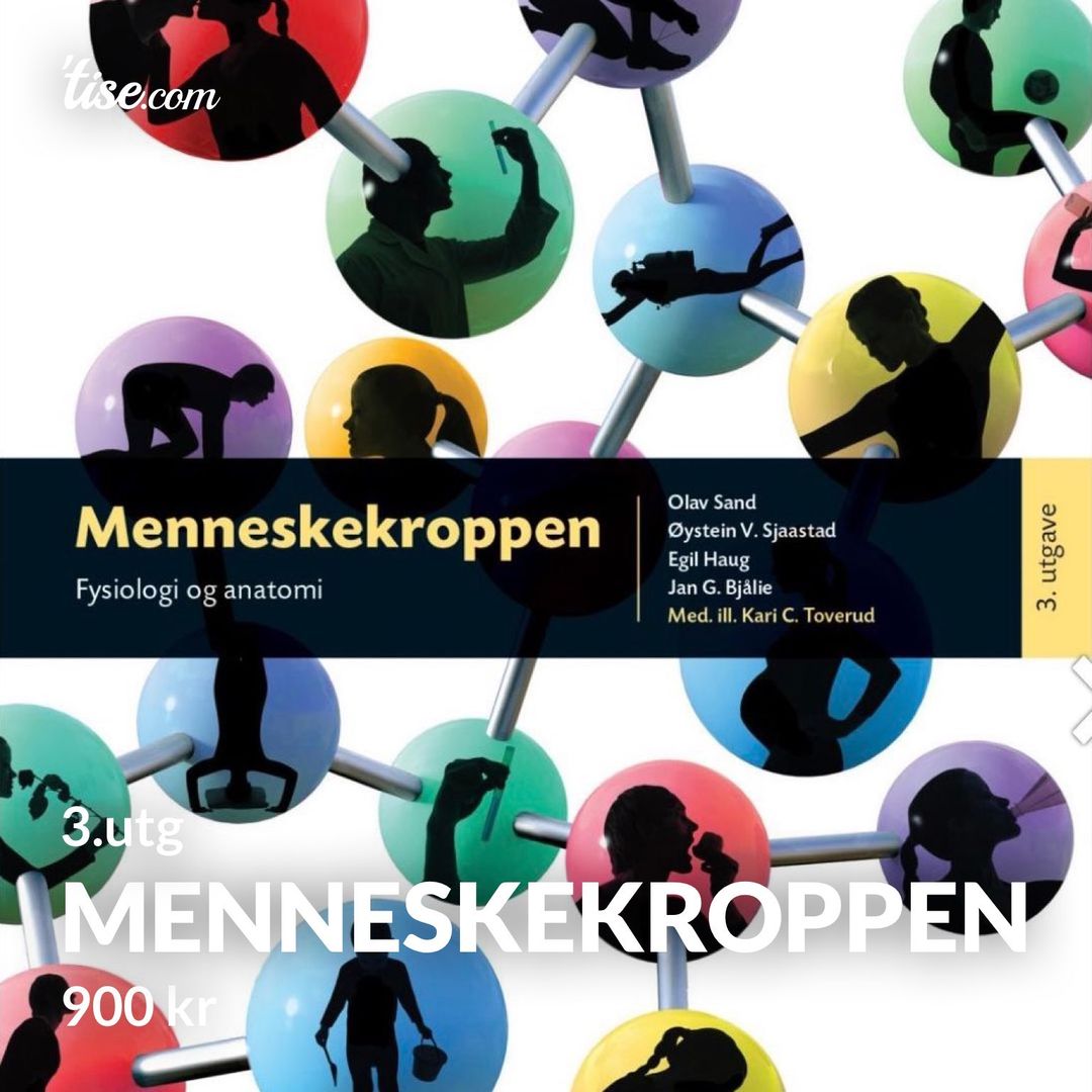 Menneskekroppen