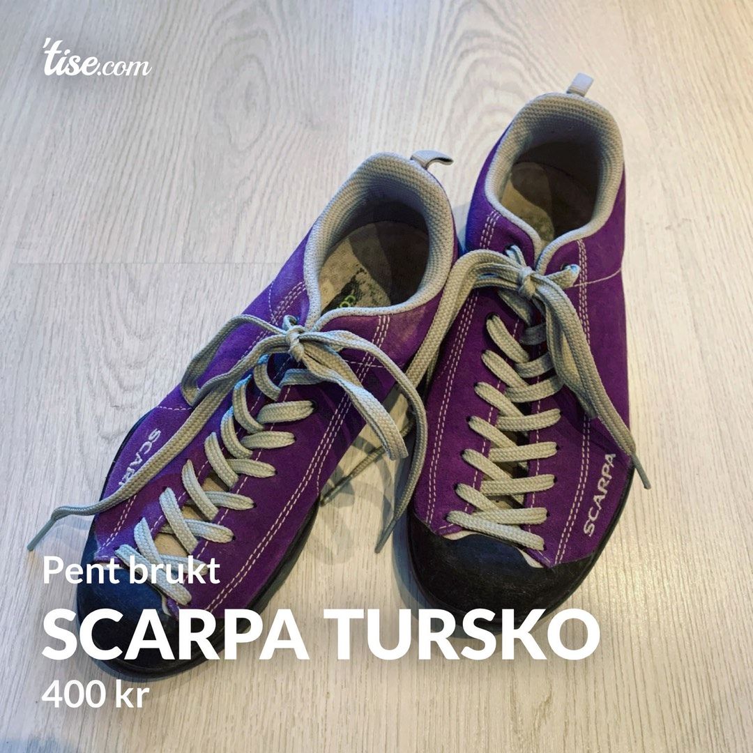 Scarpa tursko