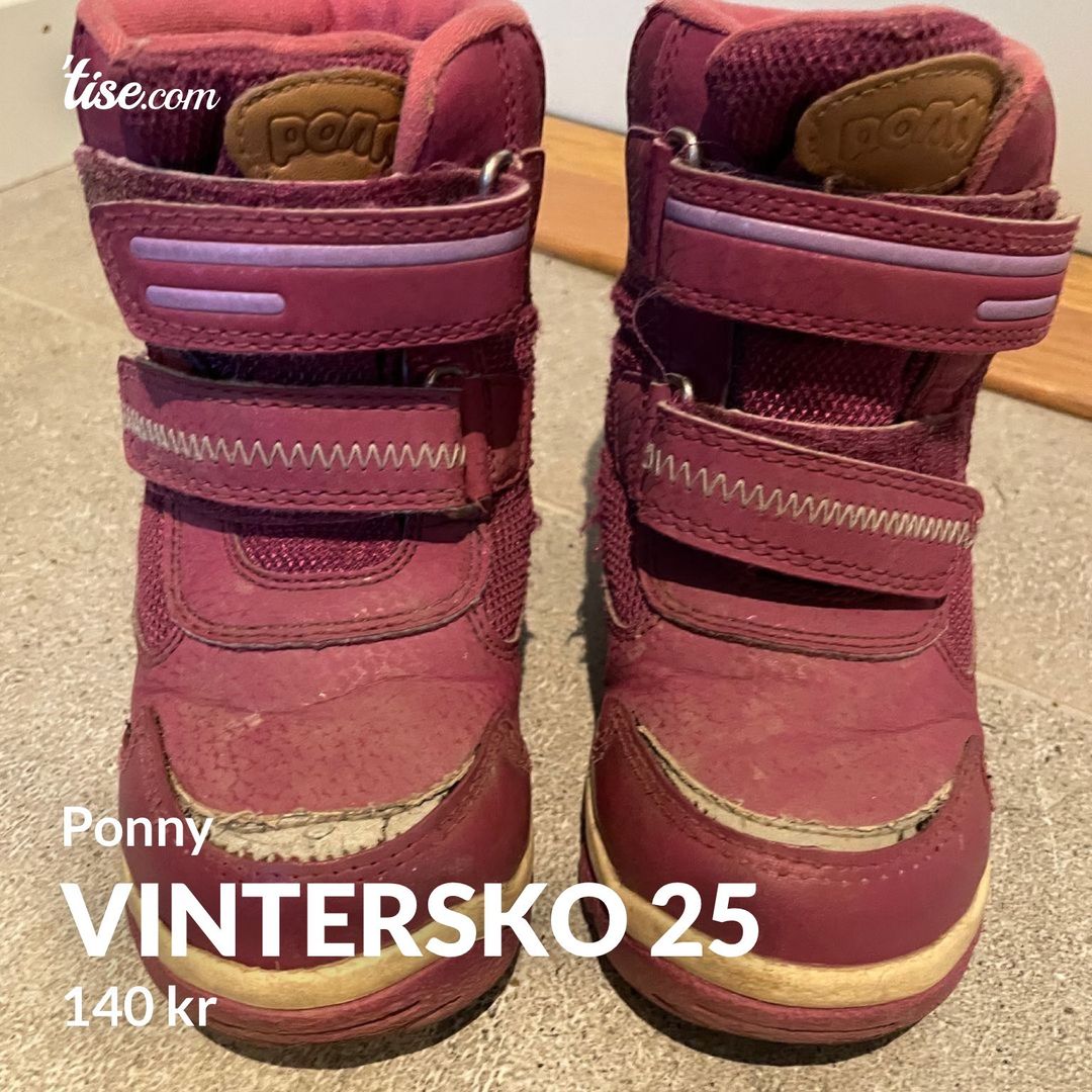 Vintersko 25