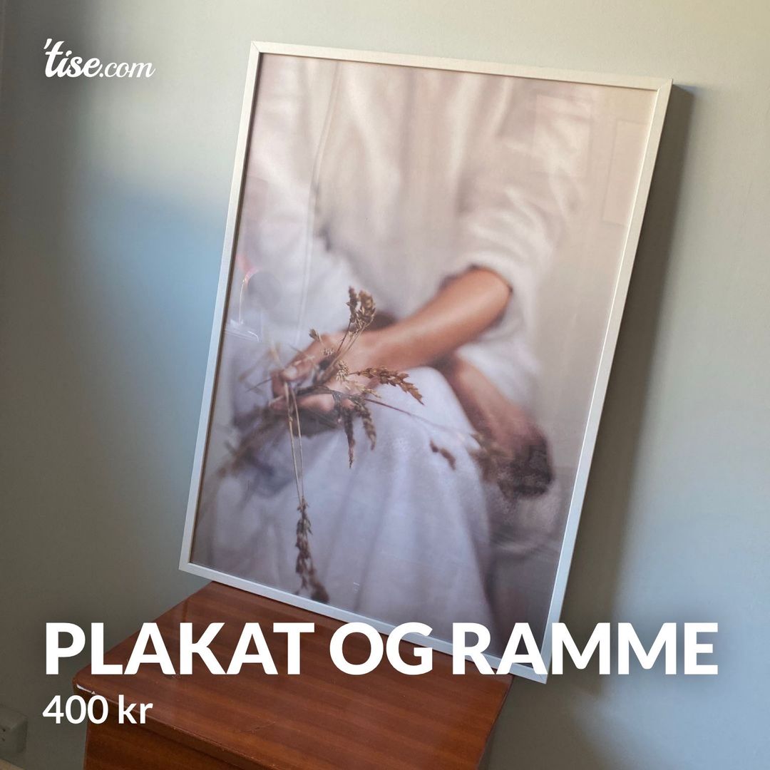 Plakat og ramme