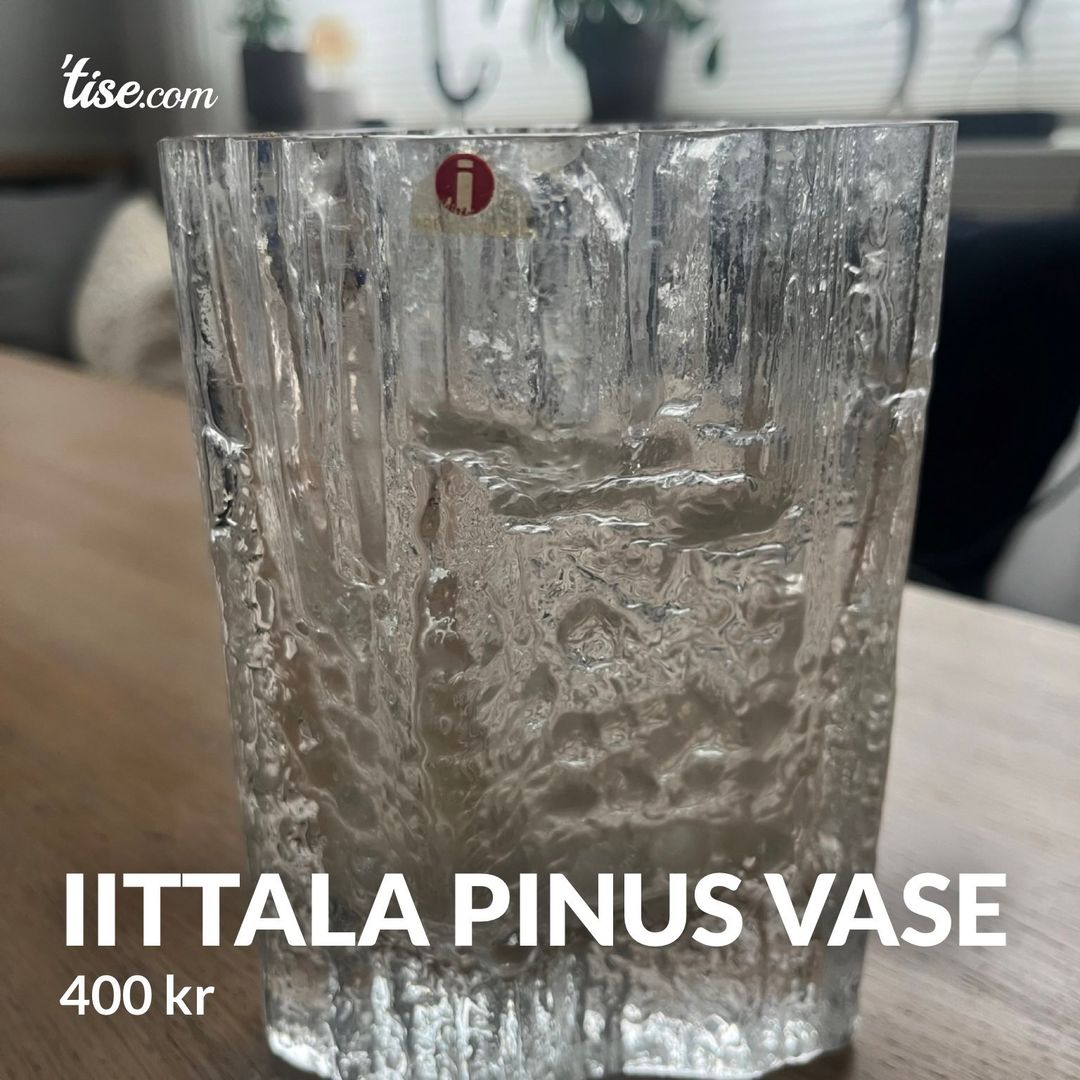 Iittala pinus vase