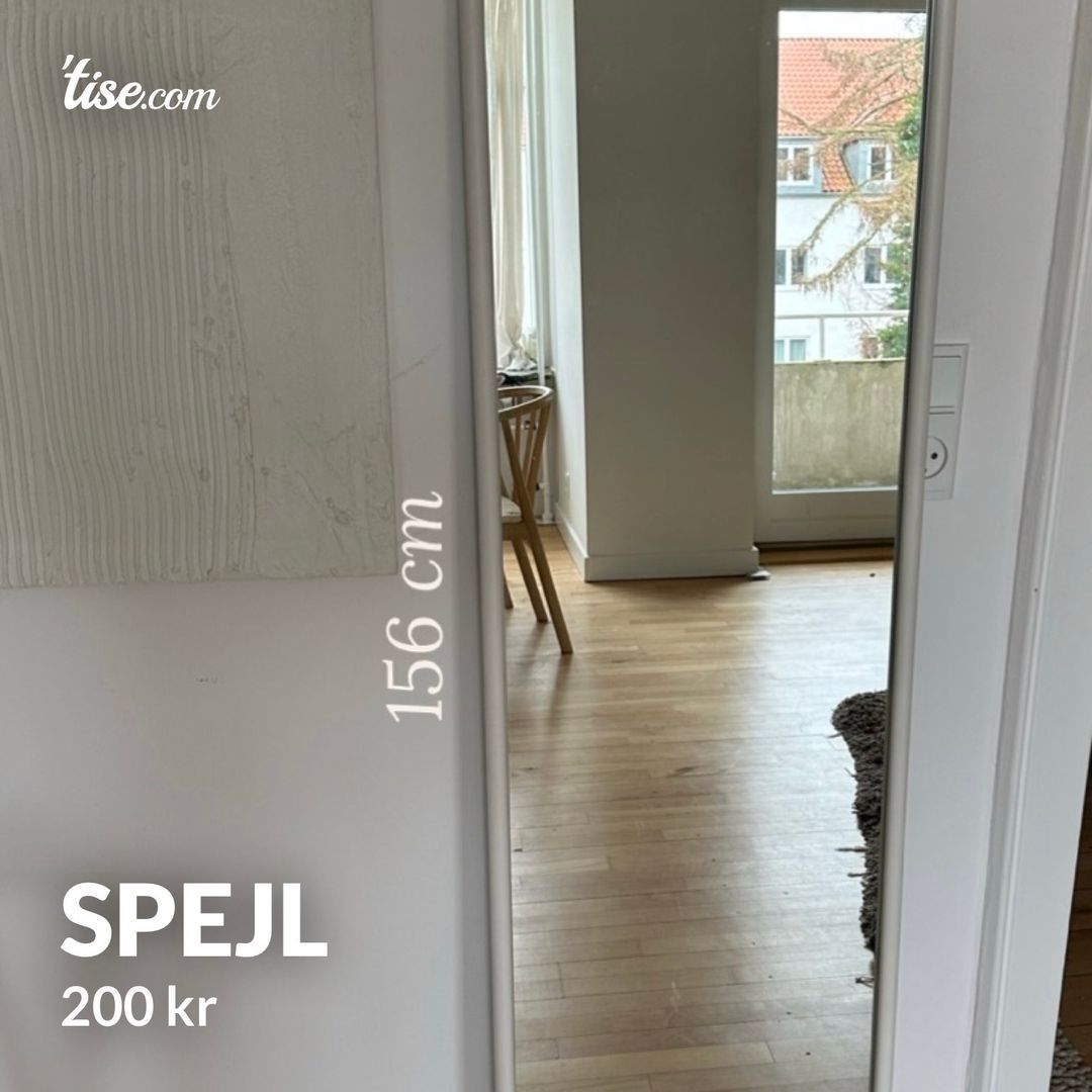 Spejl