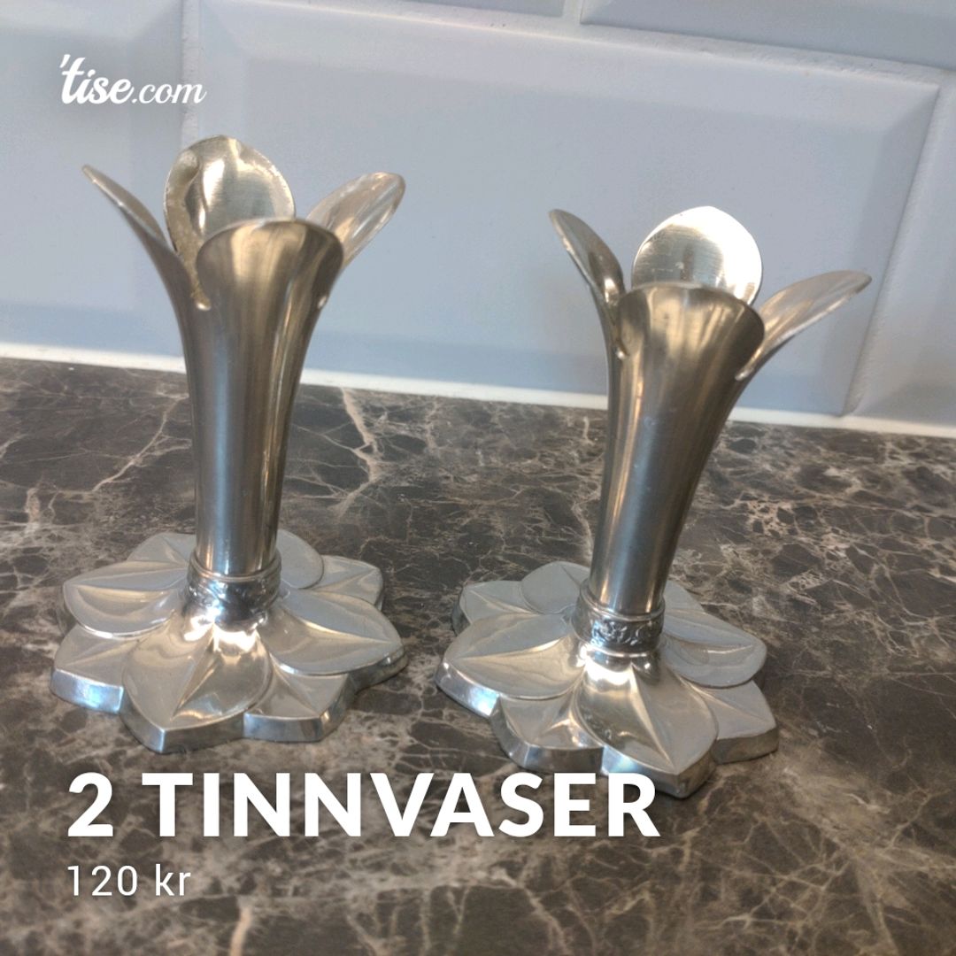 2 Tinnvaser