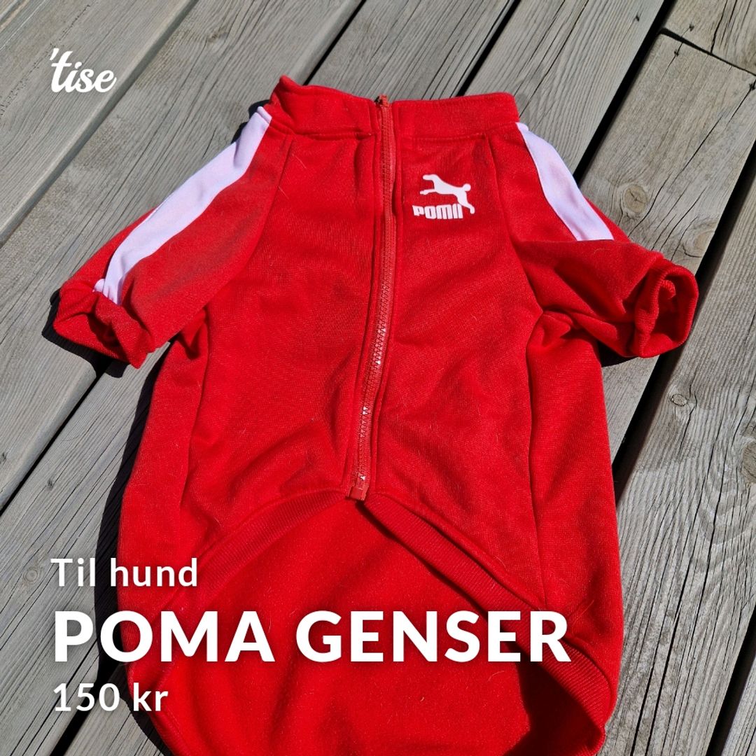 Poma Genser