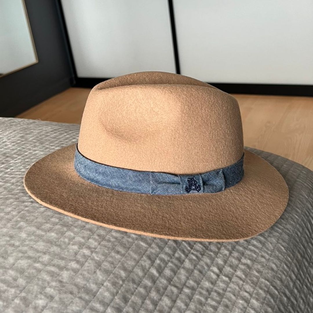 Taupe Velvet hat O/S