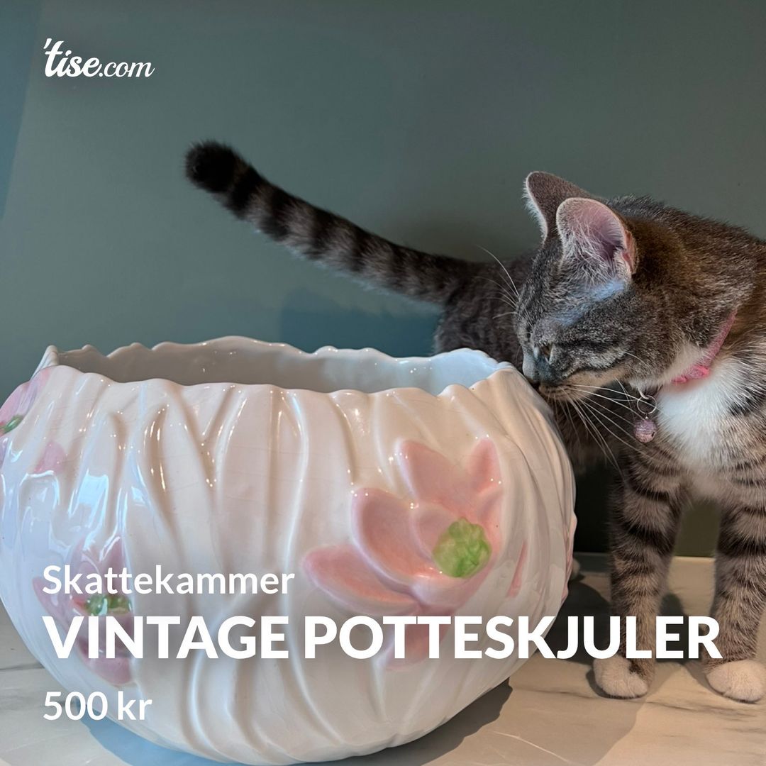 Vintage Potteskjuler