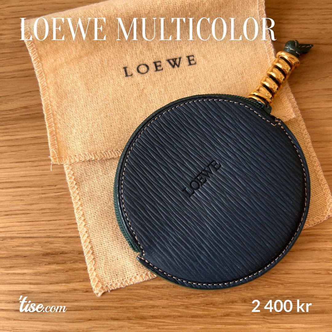 Loewe multicolor