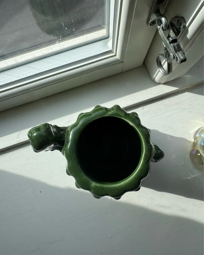 Kaktus vase